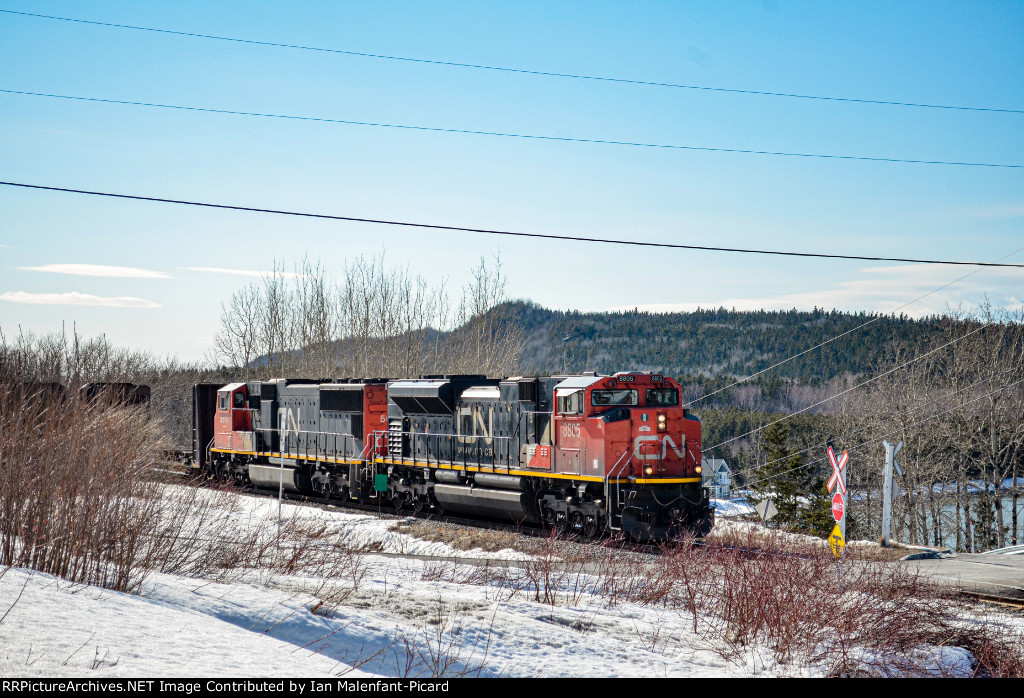 CN 8805